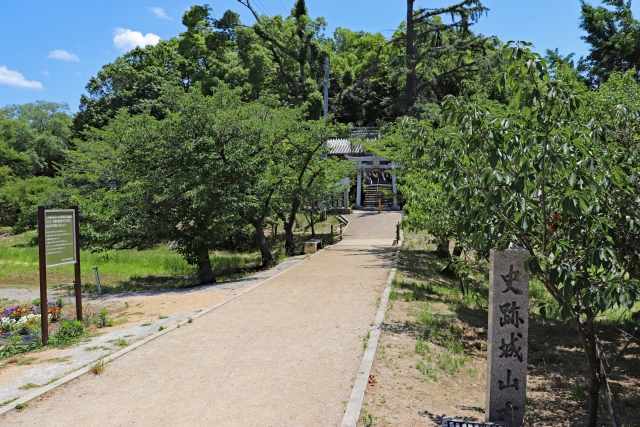 津堂城山古墳