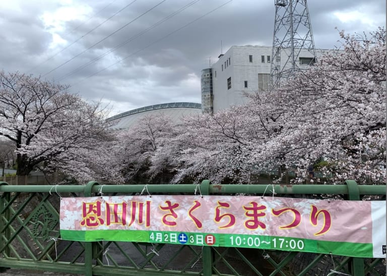 恩田川さくらまつり垂れ幕