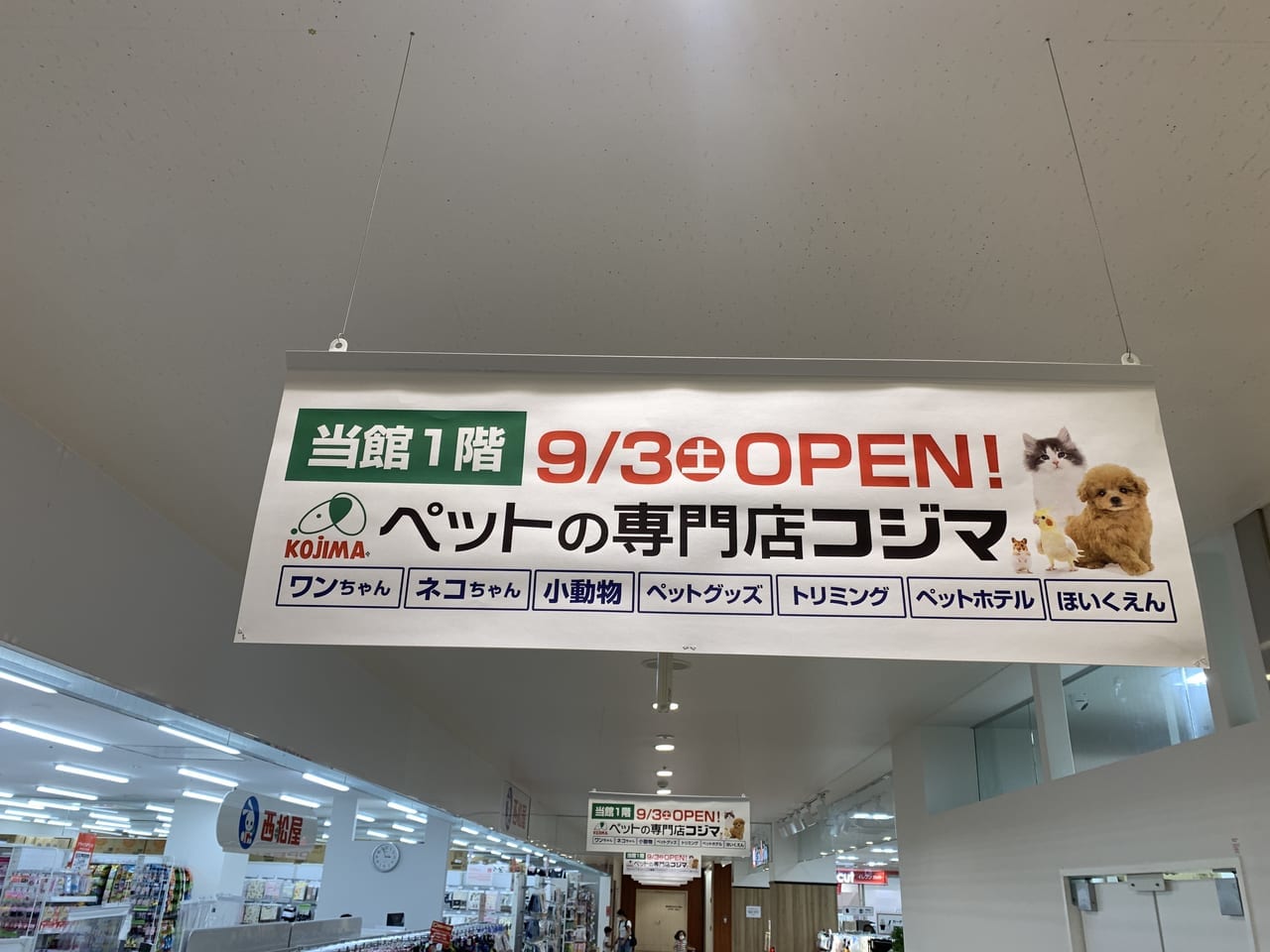 ペットの専門店コジマ.のぼり