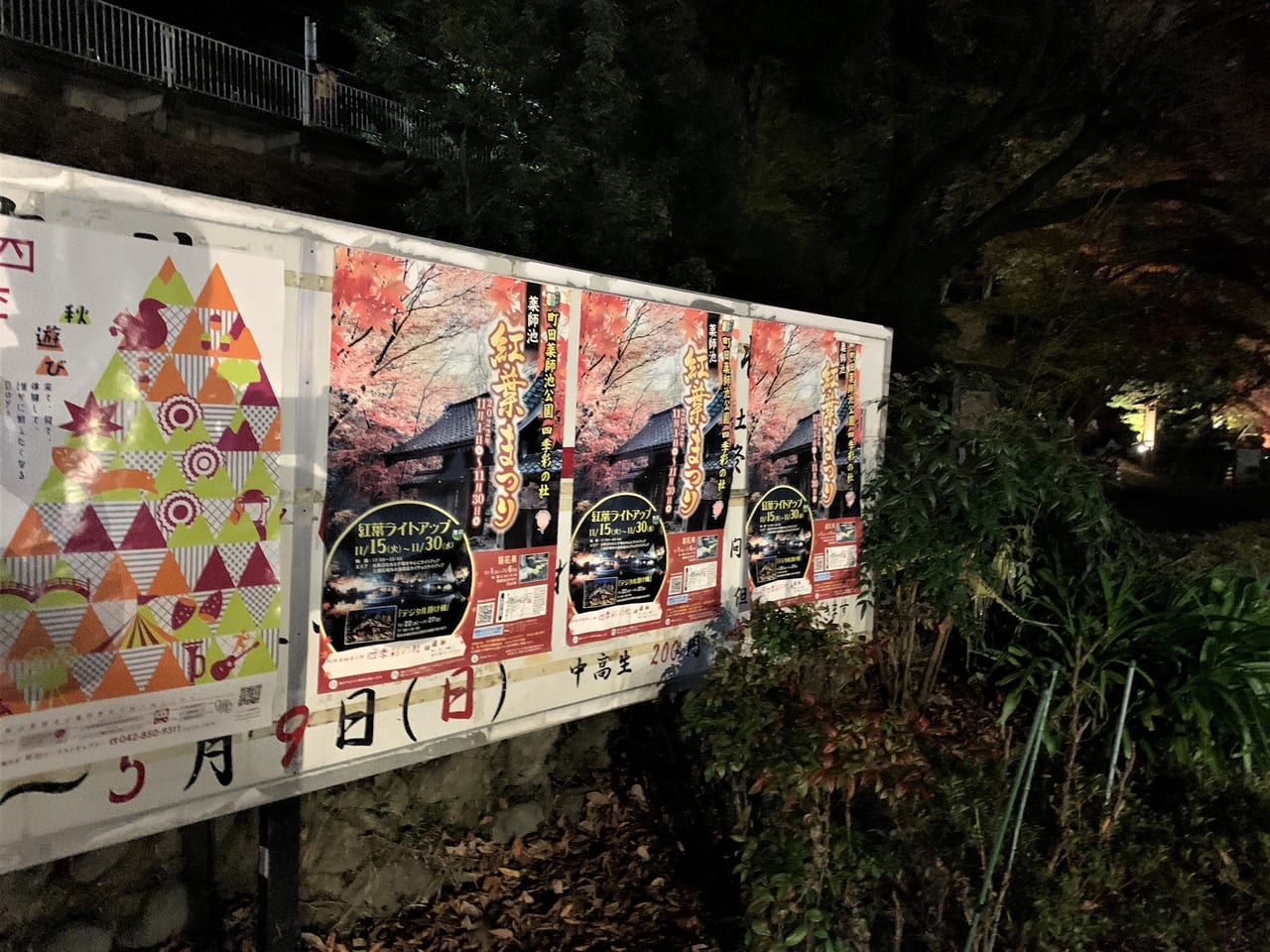 薬師池公園の紅葉ライトアップ①