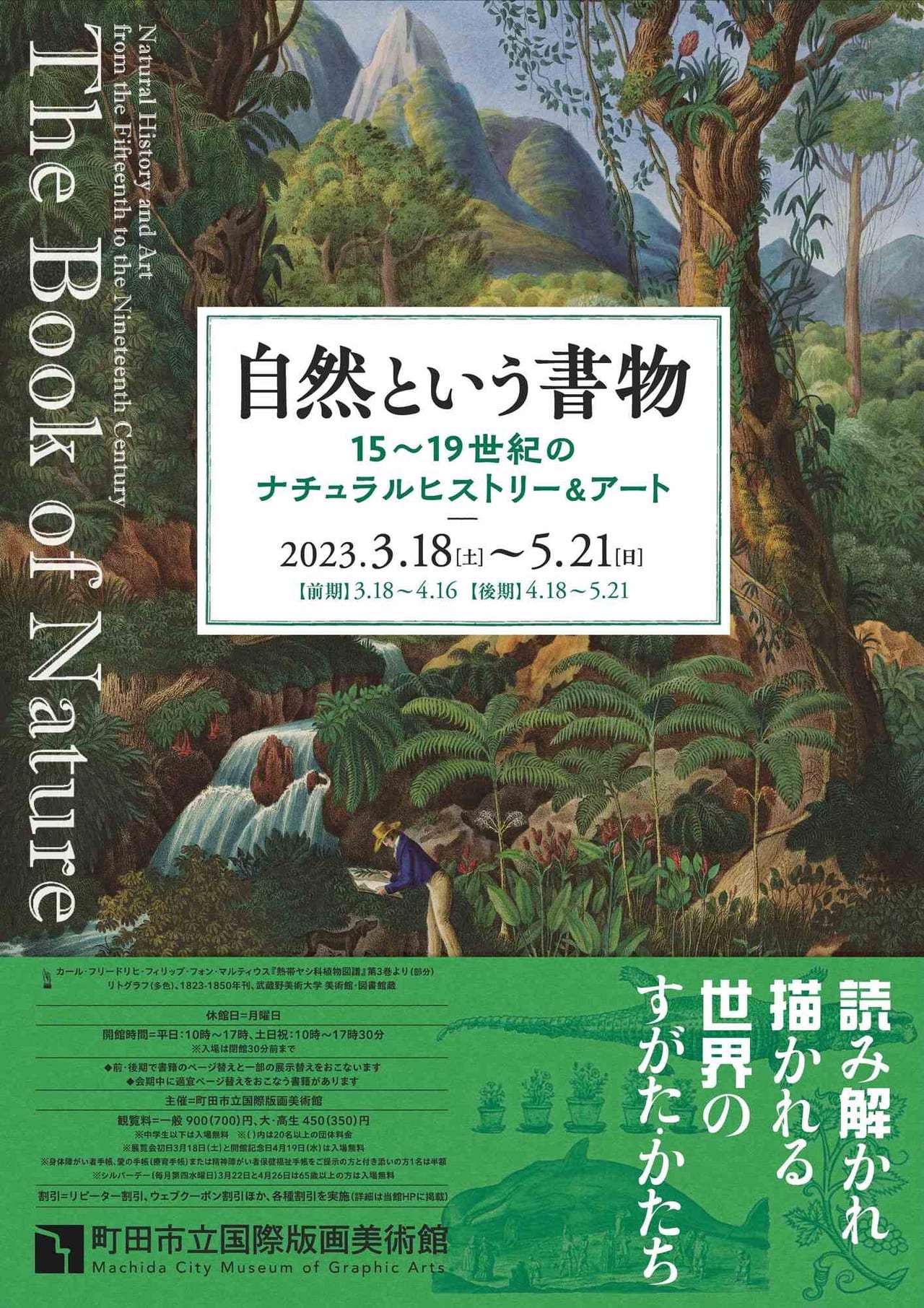 町田市立国際版画美術館自然という書物 15～19世紀のナチュラルヒストリー＆アートのチラシ表