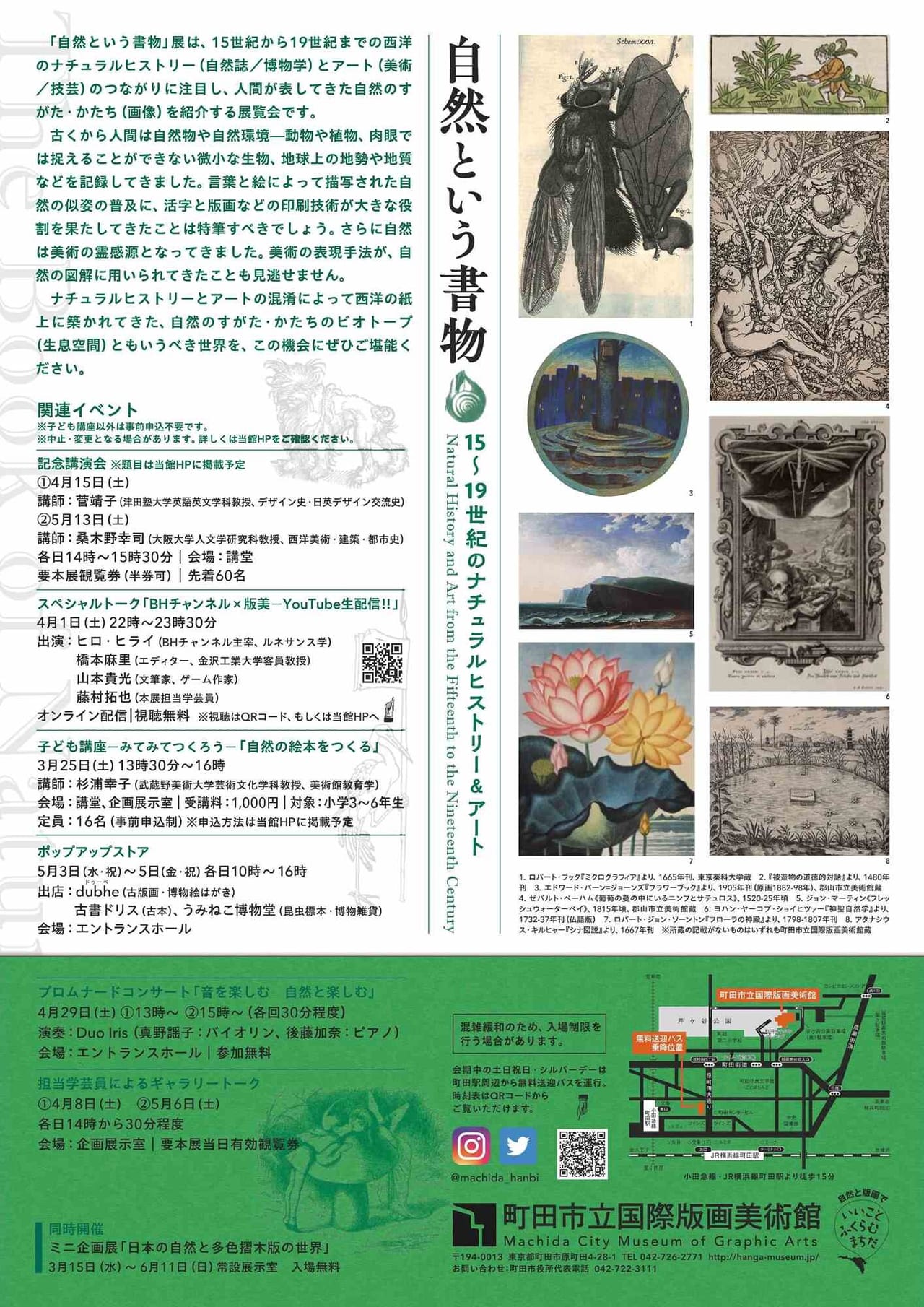 町田市立国際版画美術館自然という書物 15～19世紀のナチュラルヒストリー＆アートのチラシ裏