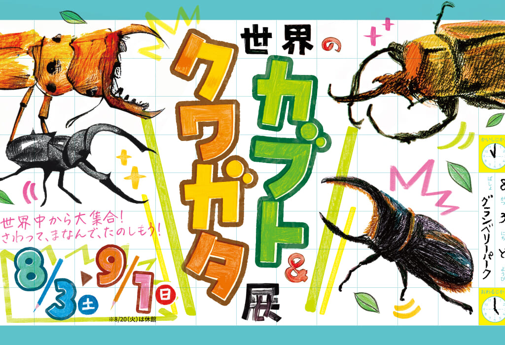 カブトクワガタ展