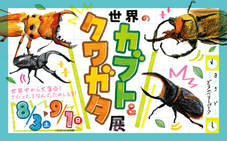 カブトクワガタ展