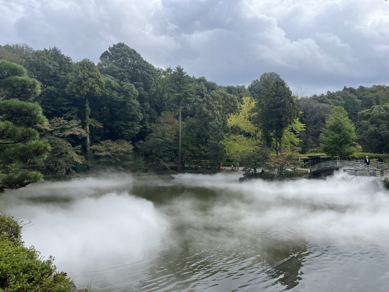 薬師池　雲海　秋遊び2024