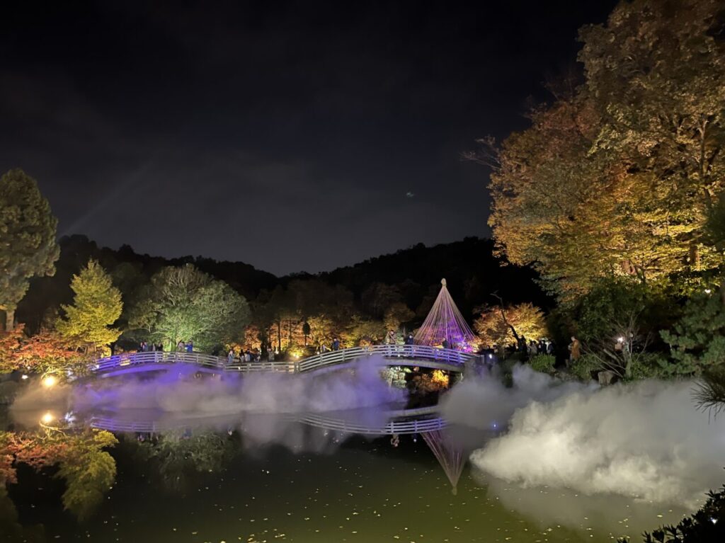 薬師池紅葉まつり　ライトアップ　雲海