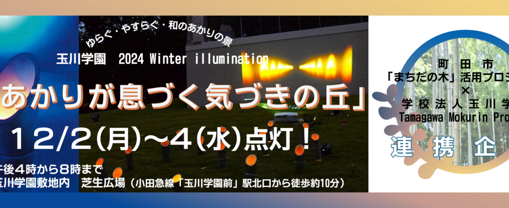 玉川学園イルミネーション