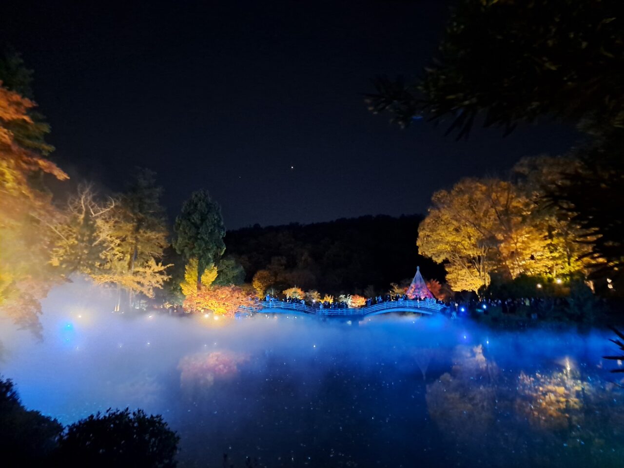 紅葉ライトアップ