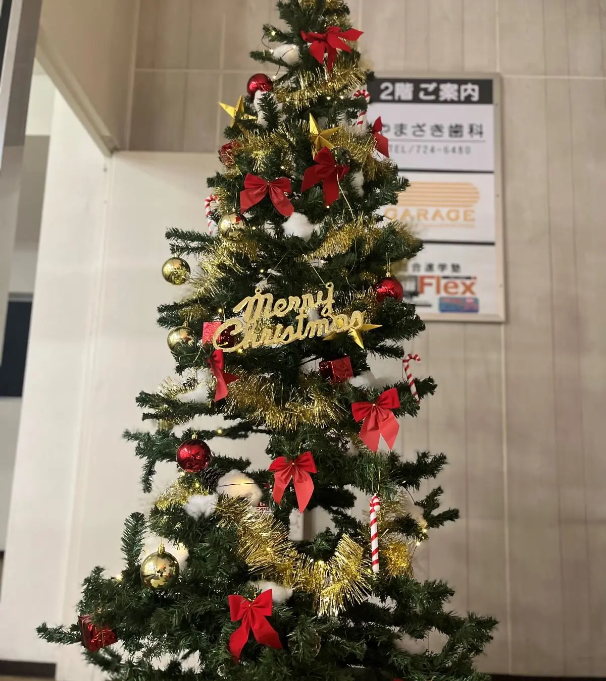 みなみおおやクリスマス ツリー