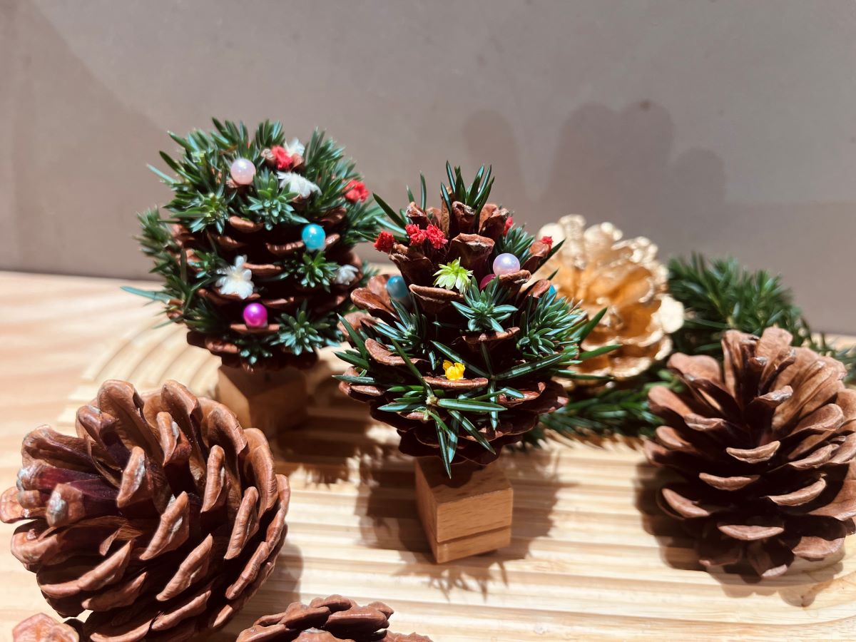 みなみおおやクリスマス 松ぼっくりツリー