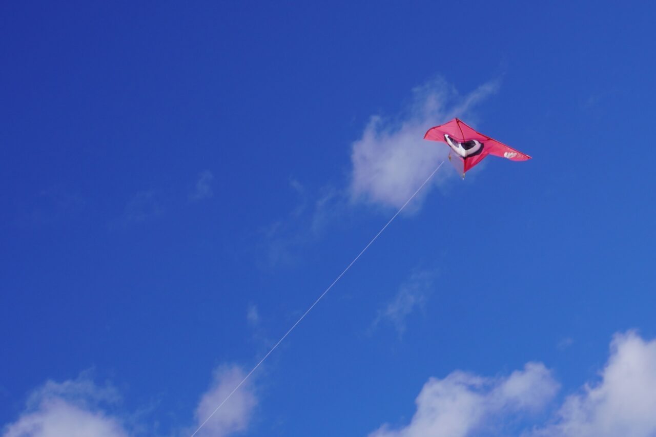 たこあげ イメージ画像