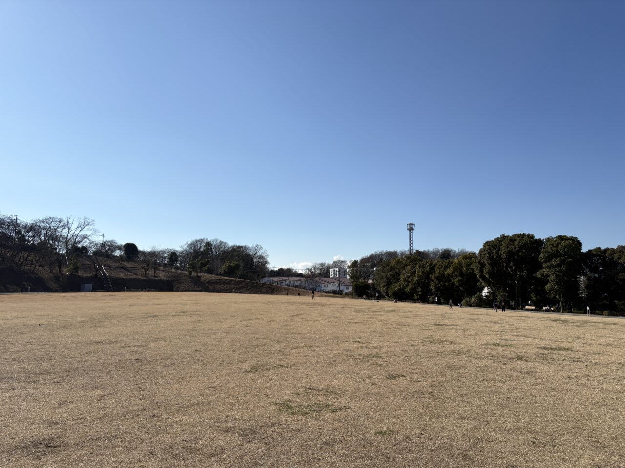 忠生スポーツ公園芝生広場