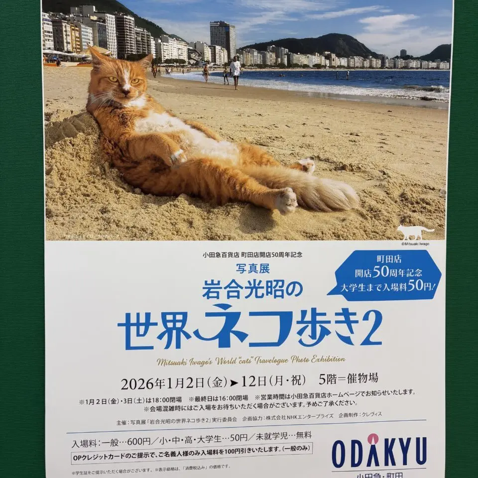 小田急百貨店　世界ネコ歩き２ポスター