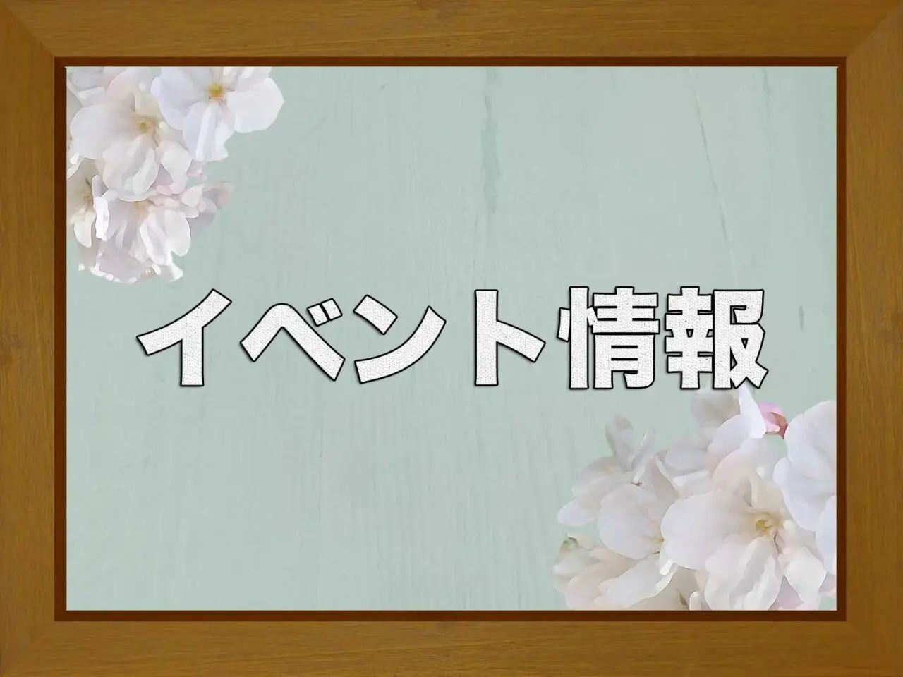 イベント情報　桜