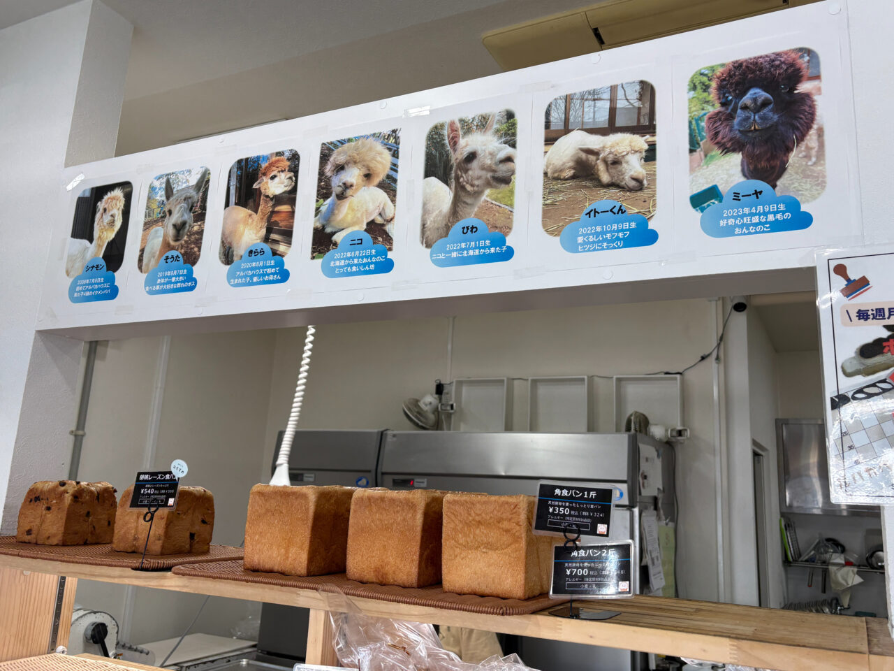 アルパカベーカリー 店内