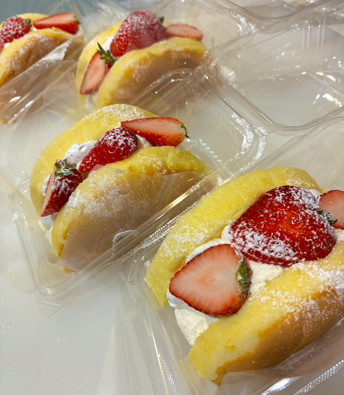 チワワ 台湾カステラ