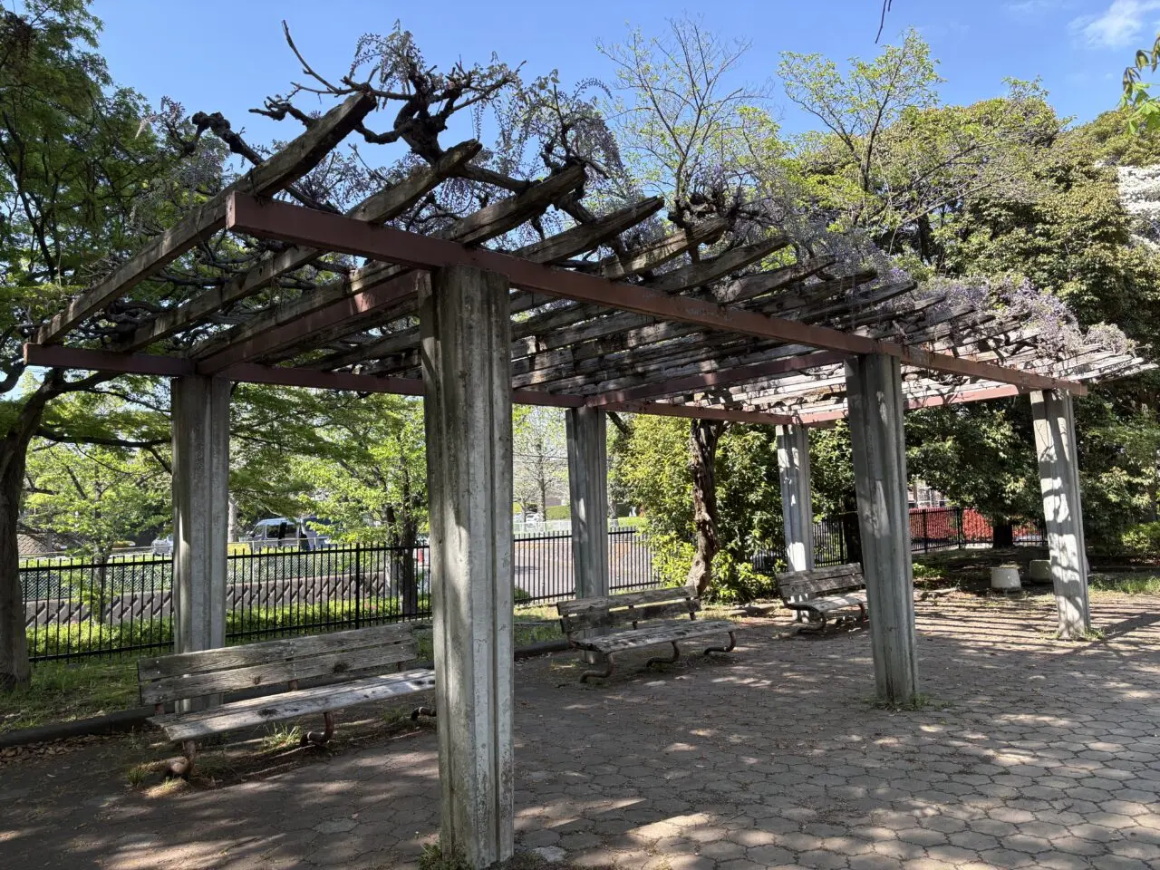 薬師台はにわ公園 ベンチと藤棚