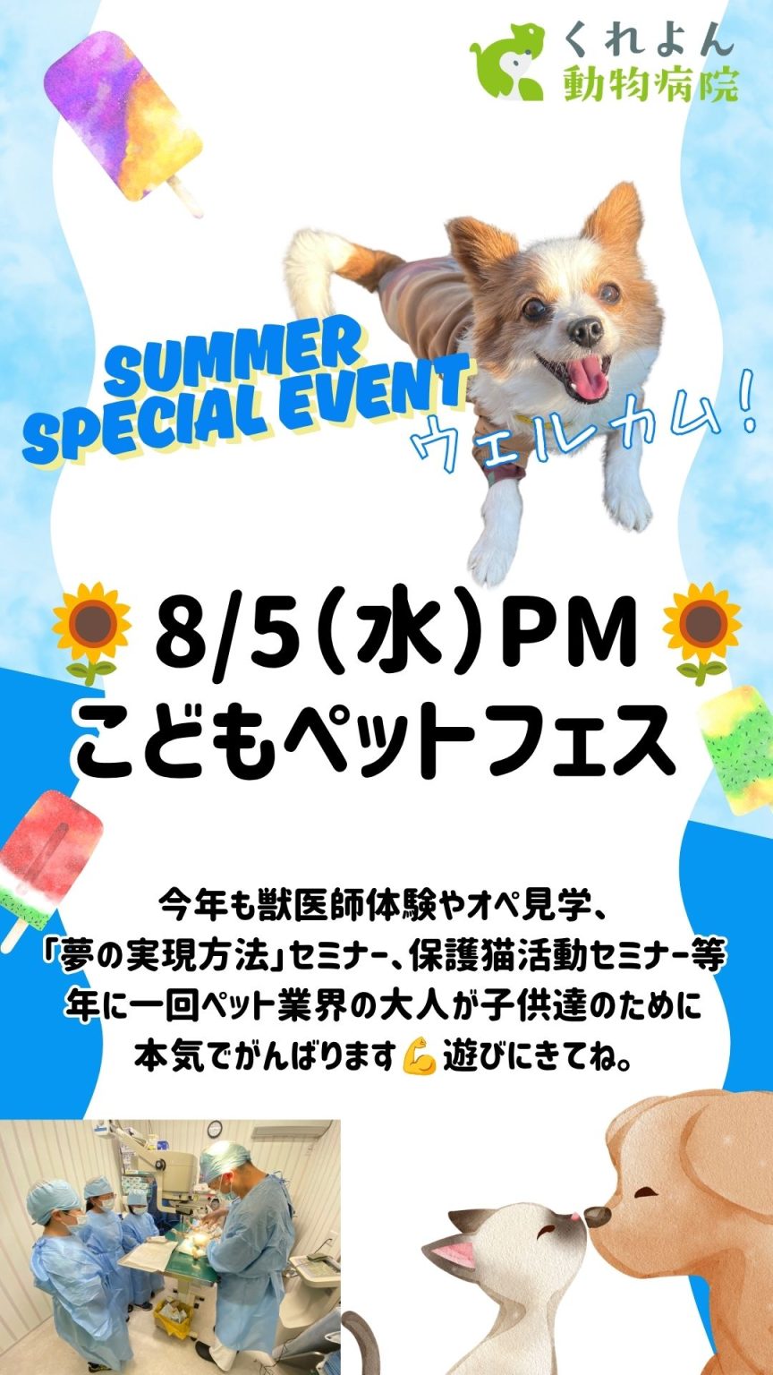 こどもペットフェス くれよん動物病院
