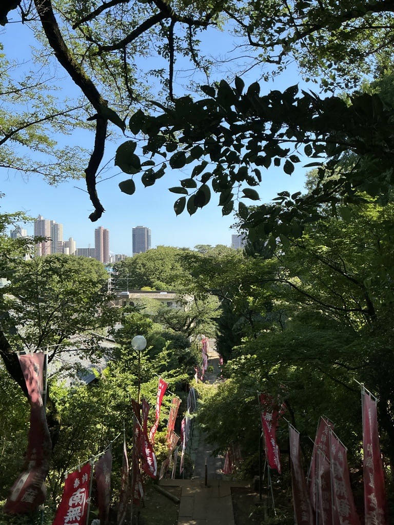 相原清水寺 高台からの眺め