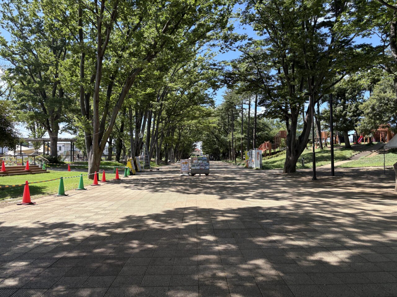 鶴間公園 水道みち夏